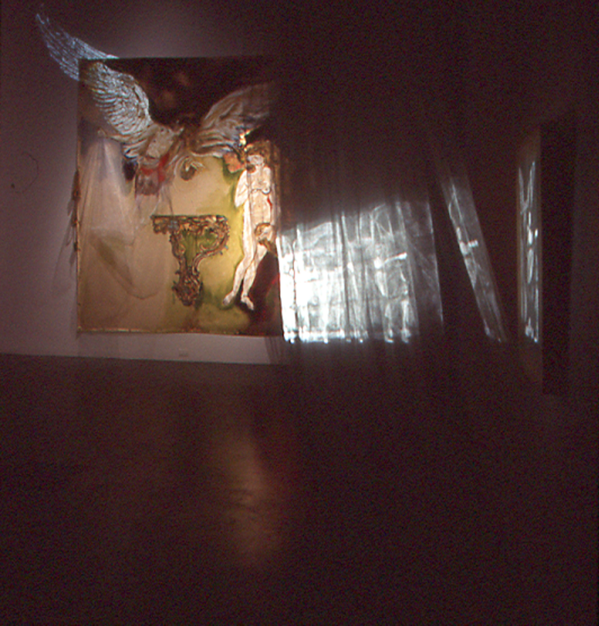 Projection-sur-tulle-Annonce